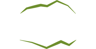 niemandsland logo